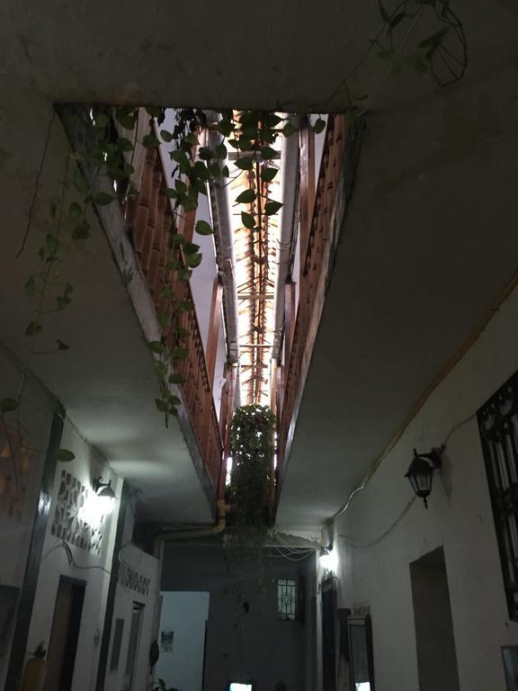 ホテル Hostal La Muralla Cartagena エクステリア 写真